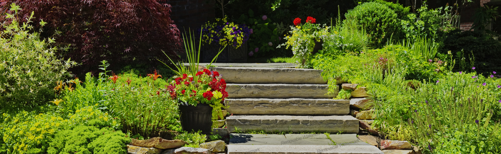 Landscaping Lakeland FL